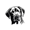 Labrador retriver portrat, illustration im black and white colors