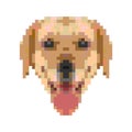 Labrador`s head in pixels. Yellow earth dog. 2018 year.