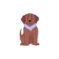 Labrador vector illustration. Adorable chocolate-colored puppy. Royalty Free Stock Photo