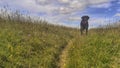 Labrador waits with a ball in her mouth