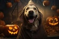 Labrador wearing halloween custome. Generative AI