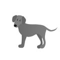 Weimaraner vector cartoon dog