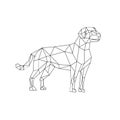 Labrador Wireframe Low Polygon Line Art