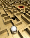 Labyrinth and ball