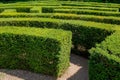 Labyrinth in curta Royalty Free Stock Photo