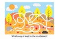 Labyrinth game, help the hedgehog to find a way to the mushroom, cute cartoon character, preschool worksheet maze activity for kid