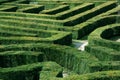 Labyrinth garden Royalty Free Stock Photo