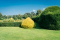 Labyrinth of green bushes in a garden Royalty Free Stock Photo