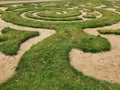 Labyrinth of green grass and sand in the garden. Royalty Free Stock Photo