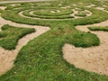 Labyrinth of green grass and sand in the garden.