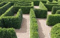 Labyrinth maze garden. Build from the tree forming a wall in the park Royalty Free Stock Photo