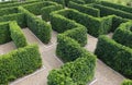 Labyrinth maze garden. Build from the tree forming a wall in the park Royalty Free Stock Photo