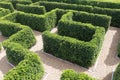 Labyrinth maze garden. Build from the tree forming a wall in the park Royalty Free Stock Photo