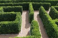 Labyrinth maze garden. Build from the tree forming a wall in the park Royalty Free Stock Photo