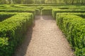 Labyrinth in a park at a sunny day in summer. A maze of bushes with green fresh foliage Royalty Free Stock Photo