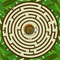 The labyrinth round the snail and leaves