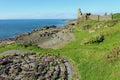 Labyrinth and ruined castle Dunure, South Ayrshire