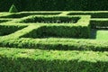 Labyrinth shaped bush grass