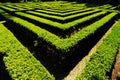 Labyrinth in the wonderful Giusti garden Royalty Free Stock Photo