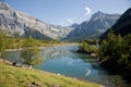 Lac de Derborence Royalty Free Stock Photo