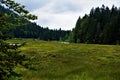 Lac de Lispach - bogland in the Vosges Royalty Free Stock Photo