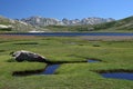 Lac de Nino , Corsica