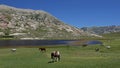 Lac de Nino , Corsica Royalty Free Stock Photo