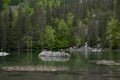 The green lake in Savoye in France Royalty Free Stock Photo