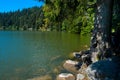 Lac vert in the Vosges mountains