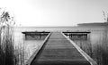 Wood pier and Swan in Lacaunau lake Royalty Free Stock Photo