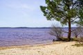 Lacanau lake sand wild beach with tree calm water in gironde france Royalty Free Stock Photo