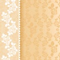 Lace beige square