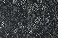 Lace black seamless pattern with flowers on white background Royalty Free Stock Photo