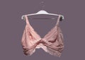 Lace bra on a hanger. Underwear. Stylish lingerie