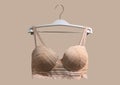 Lace bra on a hanger. Underwear. Stylish lingerie