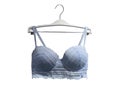 Lace bra on a hanger. Underwear. Stylish lingerie