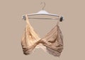 Lace bra on a hanger. Underwear. Stylish lingerie