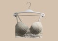 Lace bra on a hanger. Underwear. Stylish lingerie