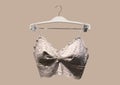 Lace bra on a hanger. Underwear. Stylish lingerie