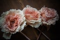 Lace flowers on dark background Royalty Free Stock Photo