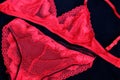 Lace handmade underwear. red lace lingerie Royalty Free Stock Photo