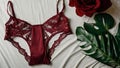 Lace Lingerie: Elegance and Eroticism