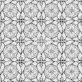 Lace ornamental black and white abstract vector seamless pattern. Hand drawn ethnic style line art tracery floral ornament. Repeat Royalty Free Stock Photo