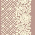 Lace. Royalty Free Stock Photo