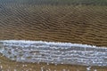 Lace patterns of the frozen water edge on the pond.