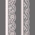 Lace Ribbon. Seamless Pattern. Set.