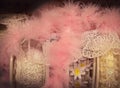 Lace on rolls and pink feather sewing trim for costumes and fancy clothing in fabric store display Royalty Free Stock Photo