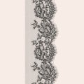 Lace seamless pattern. Royalty Free Stock Photo