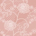 Lace seamless pattern with flowers Royalty Free Stock Photo