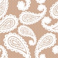 Lace seamless pattern with paisley Royalty Free Stock Photo